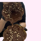 - chocolate_christmas_tree_with_nutella -- Sweet Snap Sydney
