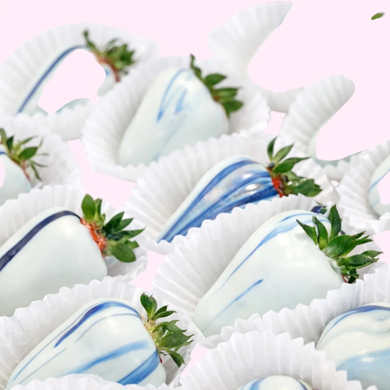 - chocolate_strawberries_blue -- Sweet Snap Sydney