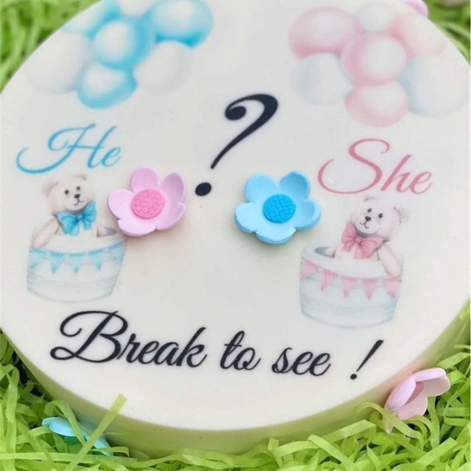 - smash_cake_gender_reveal_3 -- Sweet Snap Sydney